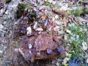 WP_002401.jpg