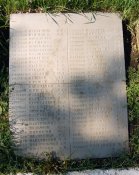 DSC_8329.jpg
