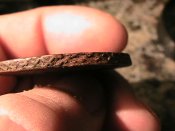 IMG_1149.jpg