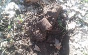 20150221_101638.jpg