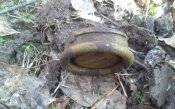 20150221_092715.jpg