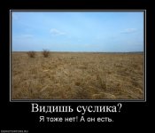 229767_vidish-suslika.jpg