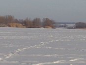 DSC_0708.jpg
