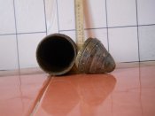 DSCN0754.jpg