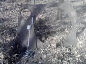 P22-02-15_11.33.jpg