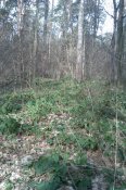 IMAG0452.jpg