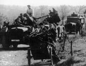 2 cm FlaK 38_3.jpg