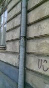 IMAG0495.jpg