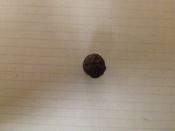 upload_2015-2-23_19-25-26.png