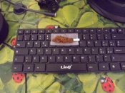 DSCF5250.JPG