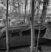 Il comando generale mimetizzato nella boscaglia nel giugno 1940.jpg