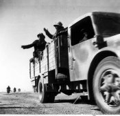 Bersaglieri autotrasportati si avviano verso la linea di battaglia nell'autunno 1941.jpg