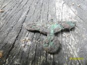 SDC11260.jpg