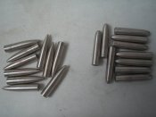 P1010003.JPG