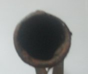 IMGP3632.JPG