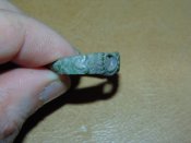DSC08000.JPG