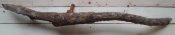 DSC00517.JPG