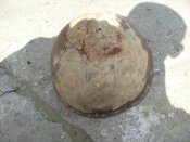 S7308350.jpg