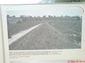 DSC00039.jpg