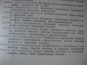 DSC02417.JPG