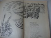 DSC02440.JPG