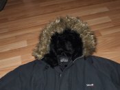 DSCF4377.JPG