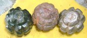 DSC05933.JPG