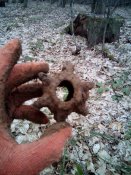 20150304142626.jpg