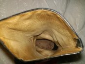 Изображение 081.jpg