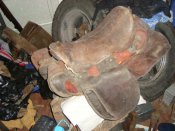 DSC07469.JPG