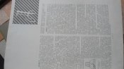DSC08771.JPG