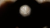 DSC08590.JPG