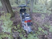 WP_002027.jpg