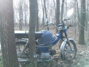 WP_002620.jpg