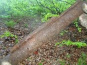 Изображение 003.jpg