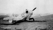 barc_003.jpg