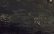 DSCF7353.jpg