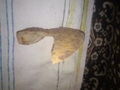 20150307_231357.jpg