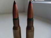 SL375524.JPG