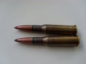 SL375526.JPG