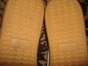 DSC00351.JPG