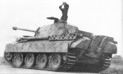 panther189.jpg