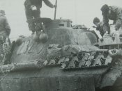 panther232-5.jpg