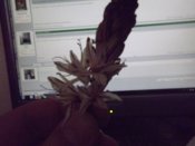 DSCF5270.JPG