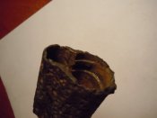 DSCN5910.jpg