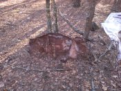 IMG_20150309_155558.jpg