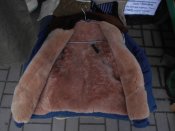 DSCN0847.jpg