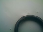 imag0022.JPG