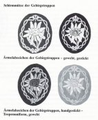 edelweis2.jpg