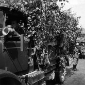 2_Divisione motorizzata nella zona del Piccolo San Bernardo nel giugno 1940.jpg
